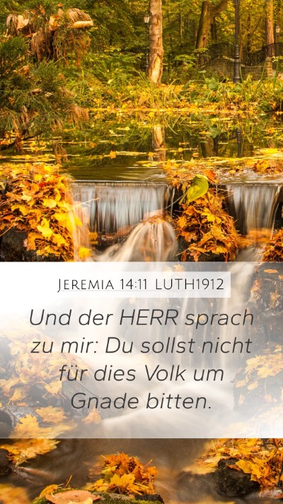 Jeremia 14:11 LUTH1912 Bible Verse Image