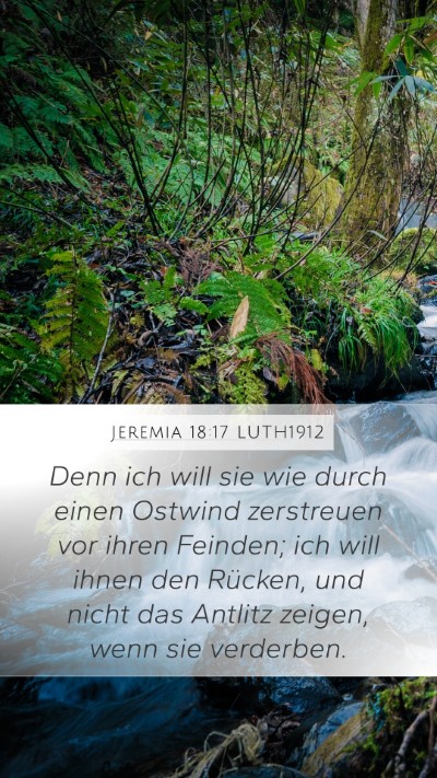 Jeremia 18:17 LUTH1912 Bible Verse Image