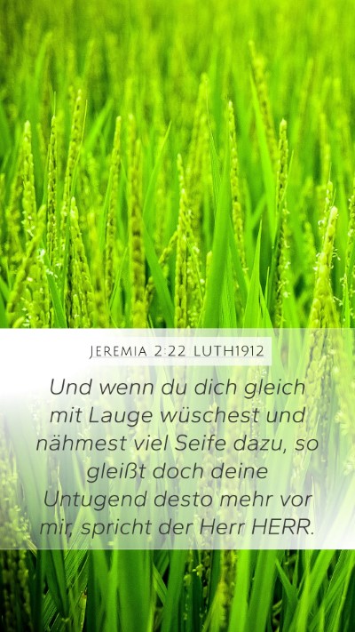 Jeremia 2:22 LUTH1912 Bible Verse Image