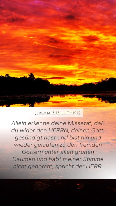 Jeremia 3:13 LUTH1912 Bible Verse Image