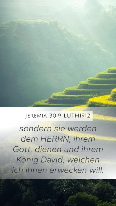 Jeremia 30:9 LUTH1912 Bible Verse Image