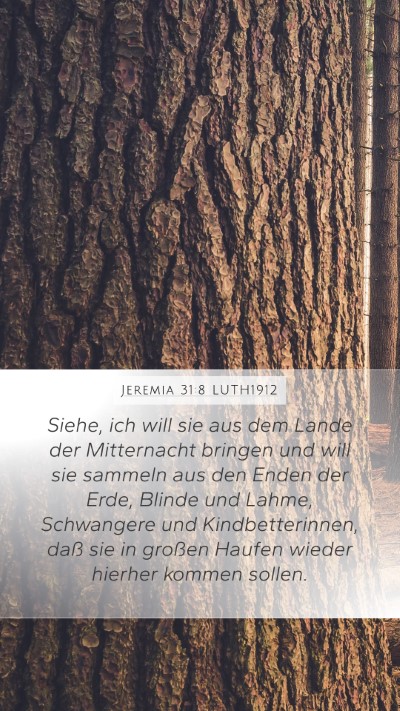 Jeremia 31:8 LUTH1912 Bible Verse Image