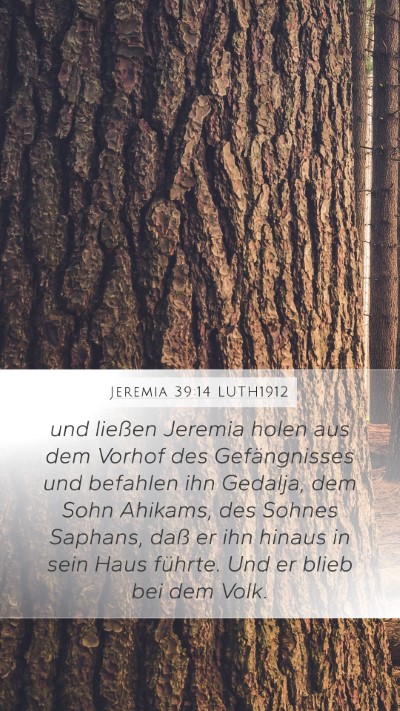 Jeremia 39:14 LUTH1912 Bible Verse Image