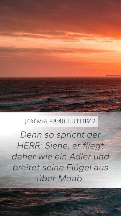 Jeremia 48:40 LUTH1912 Bible Verse Image
