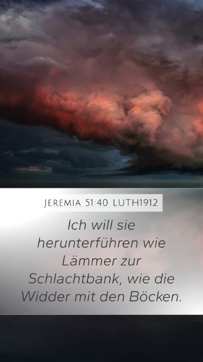 Jeremia 51:40 LUTH1912 Bible Verse Image
