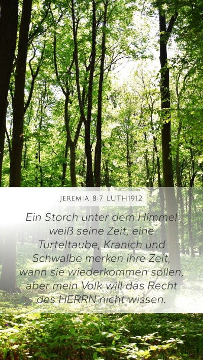 Jeremia 8:7 LUTH1912 Bible Verse Image
