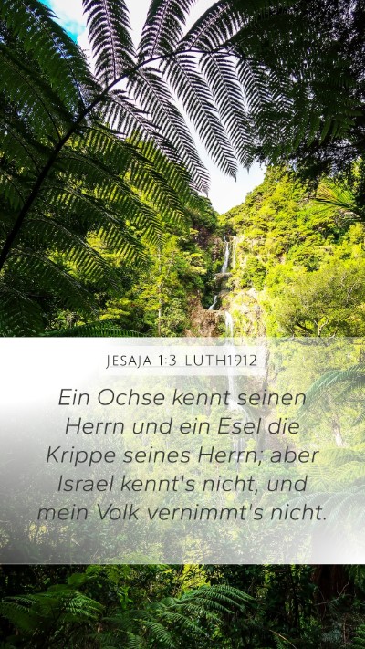 Jesaja 1:3 LUTH1912 Bible Verse Image