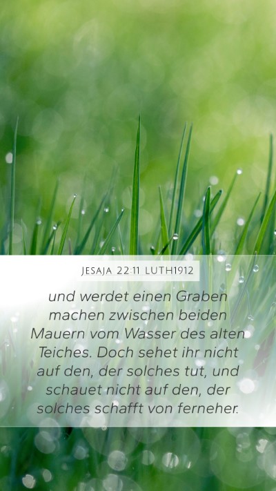 Jesaja 22:11 LUTH1912 Bible Verse Image