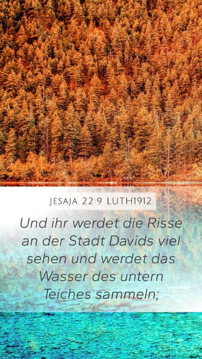 Jesaja 22:9 LUTH1912 Bible Verse Image