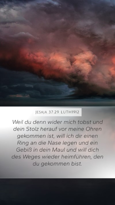 Jesaja 37:29 LUTH1912 Bible Verse Image
