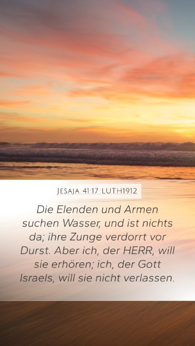 Jesaja 41:17 LUTH1912 Bible Verse Image