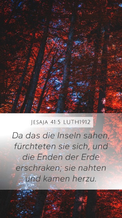 Jesaja 41:5 LUTH1912 Bible Verse Image