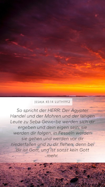 Jesaja 45:14 LUTH1912 Bible Verse Image