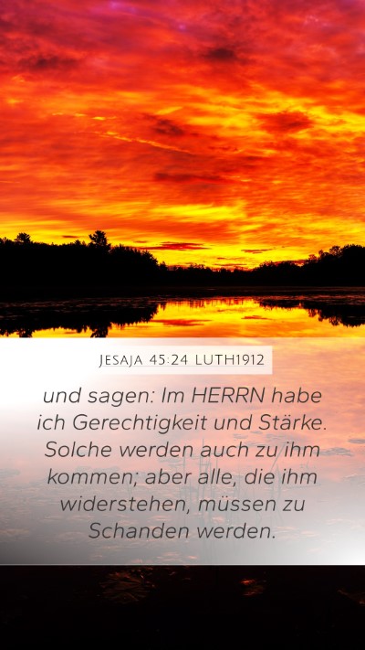 Jesaja 45:24 LUTH1912 Bible Verse Image