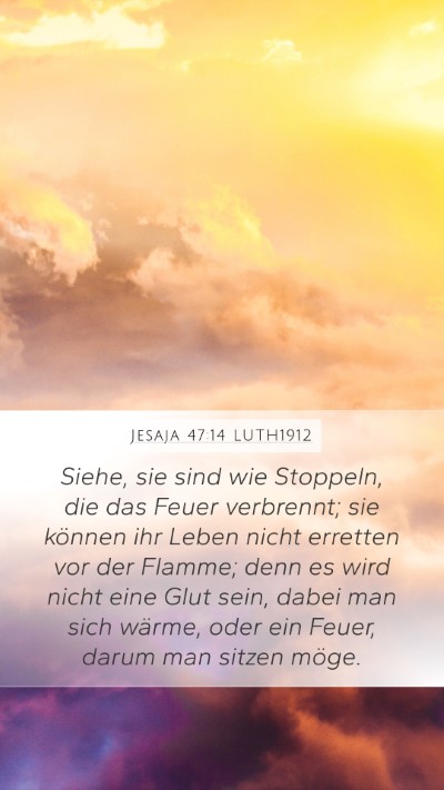 Jesaja 47:14 LUTH1912 Bible Verse Image