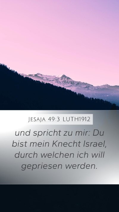 Jesaja 49:3 LUTH1912 Bible Verse Image