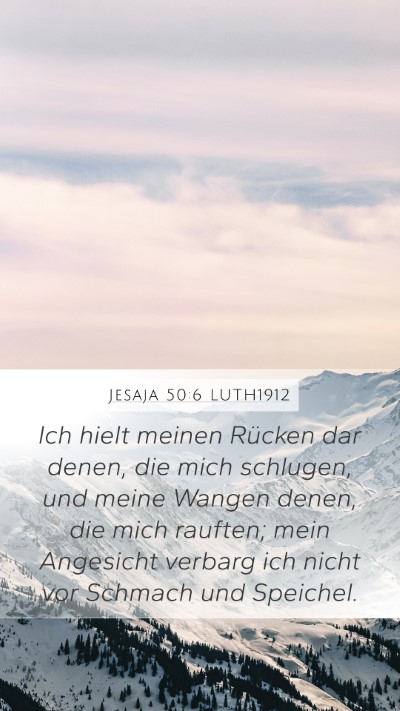 Jesaja 50:6 LUTH1912 Bible Verse Image