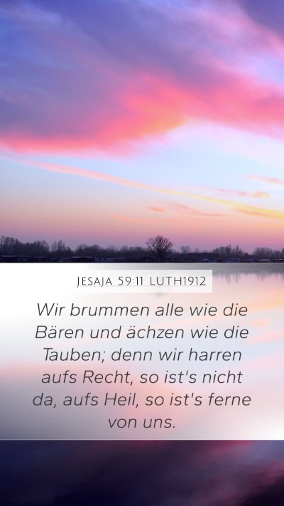 Jesaja 59:11 LUTH1912 Bible Verse Image