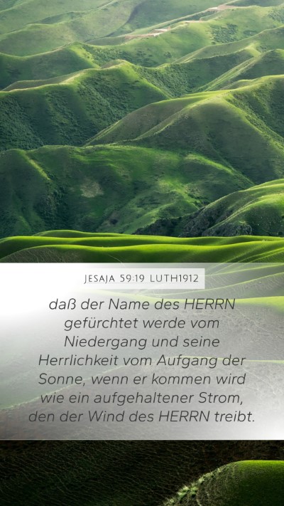 Jesaja 59:19 LUTH1912 Bible Verse Image