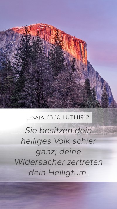 Jesaja 63:18 LUTH1912 Bible Verse Image