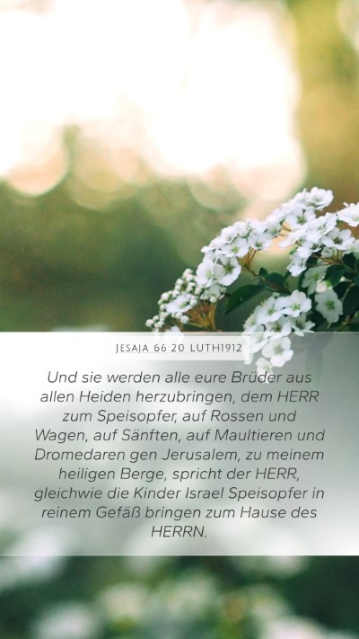 Jesaja 66:20 LUTH1912 Bible Verse Image