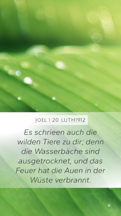Joel 1:20 LUTH1912 Mobile Phone Wallpaper - Es schrieen auch die wilden Tiere zu dir; denn - Mobile Bible Verse Wallpaper