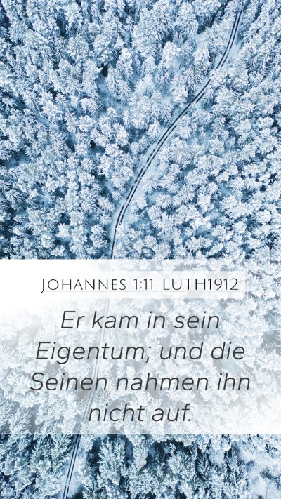 Johannes 1:11 LUTH1912 Bible Verse Image