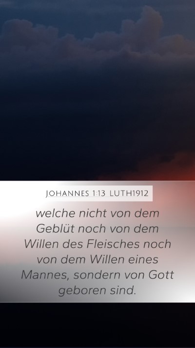 Johannes 1:13 LUTH1912 Bible Verse Image