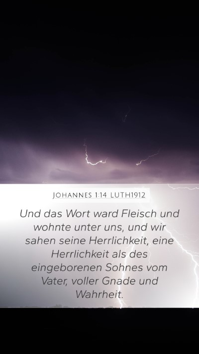 Johannes 1:14 LUTH1912 Bible Verse Image