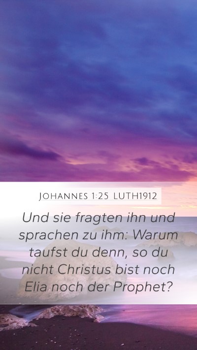 Johannes 1:25 LUTH1912 Bible Verse Image