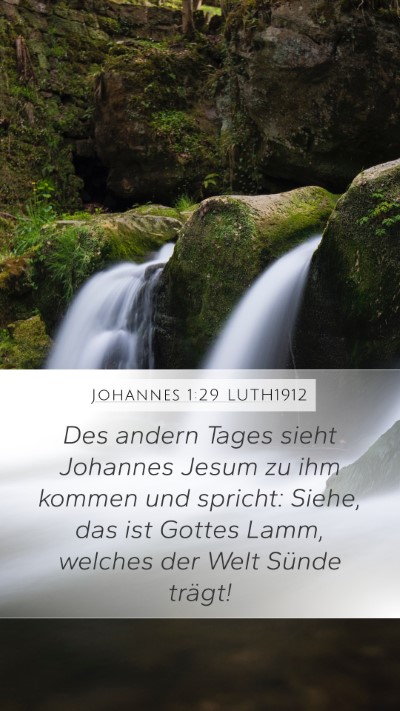 Johannes 1:29 LUTH1912 Bible Verse Image