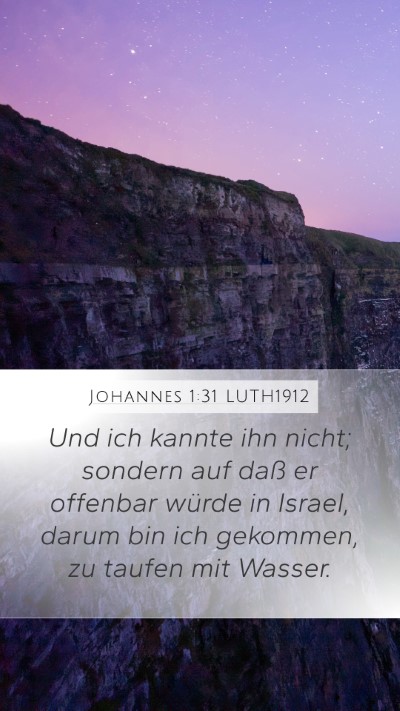 Johannes 1:31 LUTH1912 Bible Verse Image