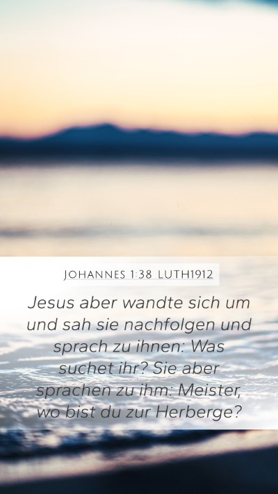 Johannes 1:38 LUTH1912 Bible Verse Image