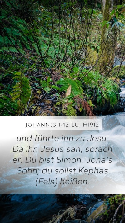 Johannes 1:42 LUTH1912 Bible Verse Image