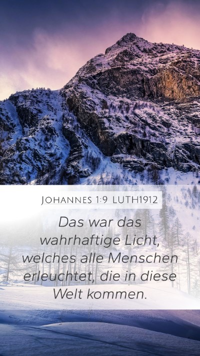 Johannes 1:9 LUTH1912 Bible Verse Image