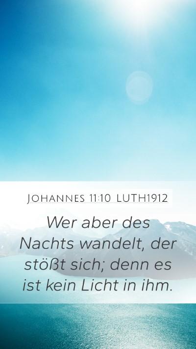 Johannes 11:10 LUTH1912 Bible Verse Image