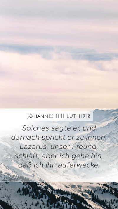 Johannes 11:11 LUTH1912 Bible Verse Image