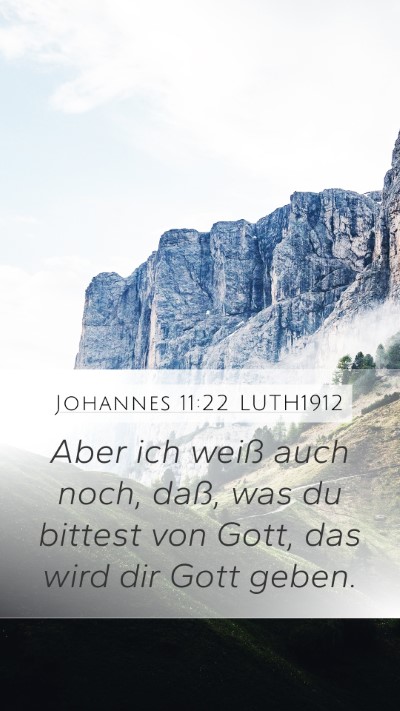 Johannes 11:22 LUTH1912 Bible Verse Image
