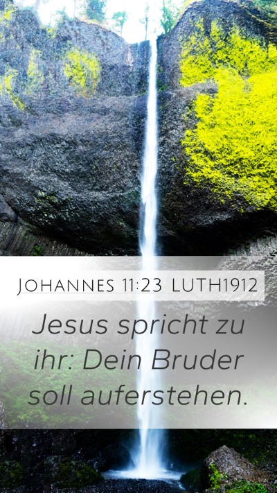 Johannes 11:23 LUTH1912 Bible Verse Image