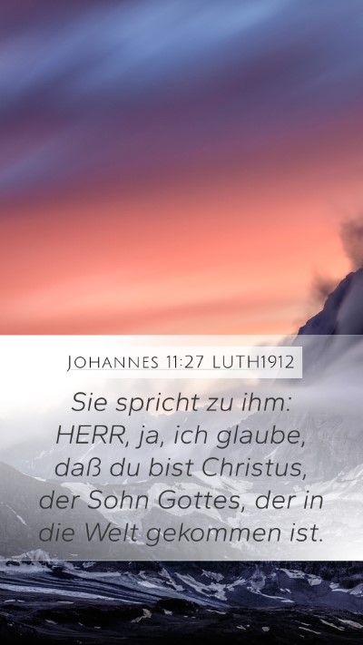 Johannes 11:27 LUTH1912 Bible Verse Image