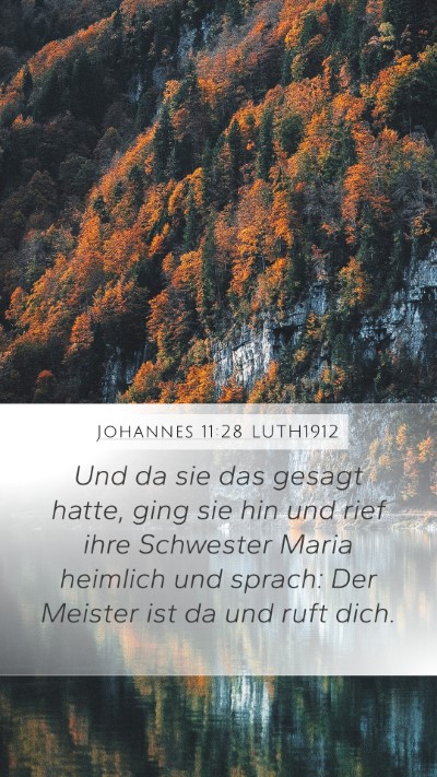 Johannes 11:28 LUTH1912 Bible Verse Image