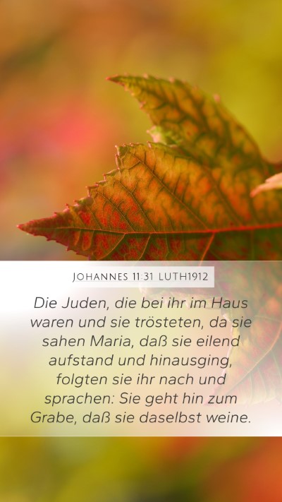Johannes 11:31 LUTH1912 Bible Verse Image