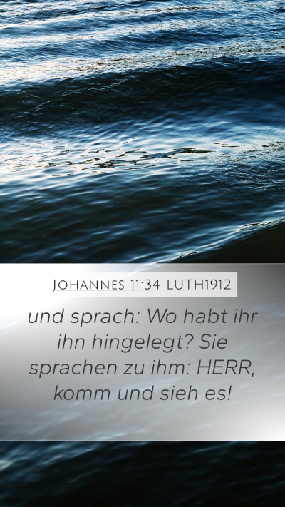 Johannes 11:34 LUTH1912 Mobile Phone Wallpaper - und sprach: Wo habt ihr ihn hingelegt? Sie - Mobile Bible Verse Wallpaper