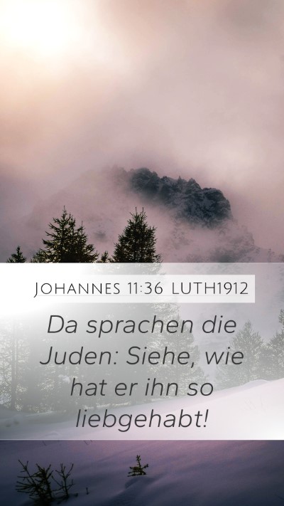 Johannes 11:36 LUTH1912 Bible Verse Image