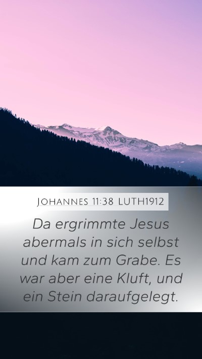Johannes 11:38 LUTH1912 Bible Verse Image