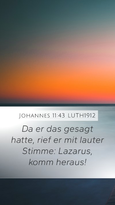 Johannes 11:43 LUTH1912 Bible Verse Image