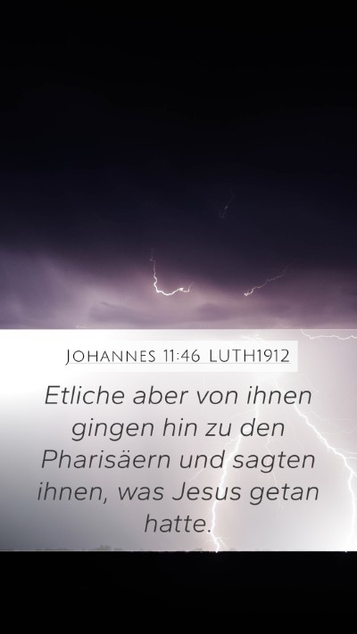 Johannes 11:46 LUTH1912 Bible Verse Image