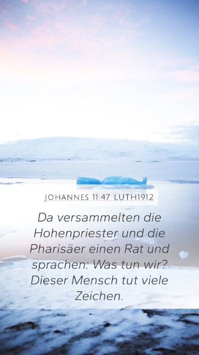Johannes 11:47 LUTH1912 Bible Verse Image