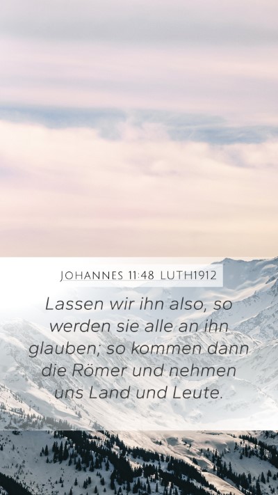 Johannes 11:48 LUTH1912 Bible Verse Image