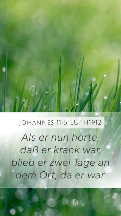 Johannes 11:6 LUTH1912 Mobile Phone Wallpaper - Als er nun hörte, daß er krank war, blieb er - Mobile Bible Verse Wallpaper